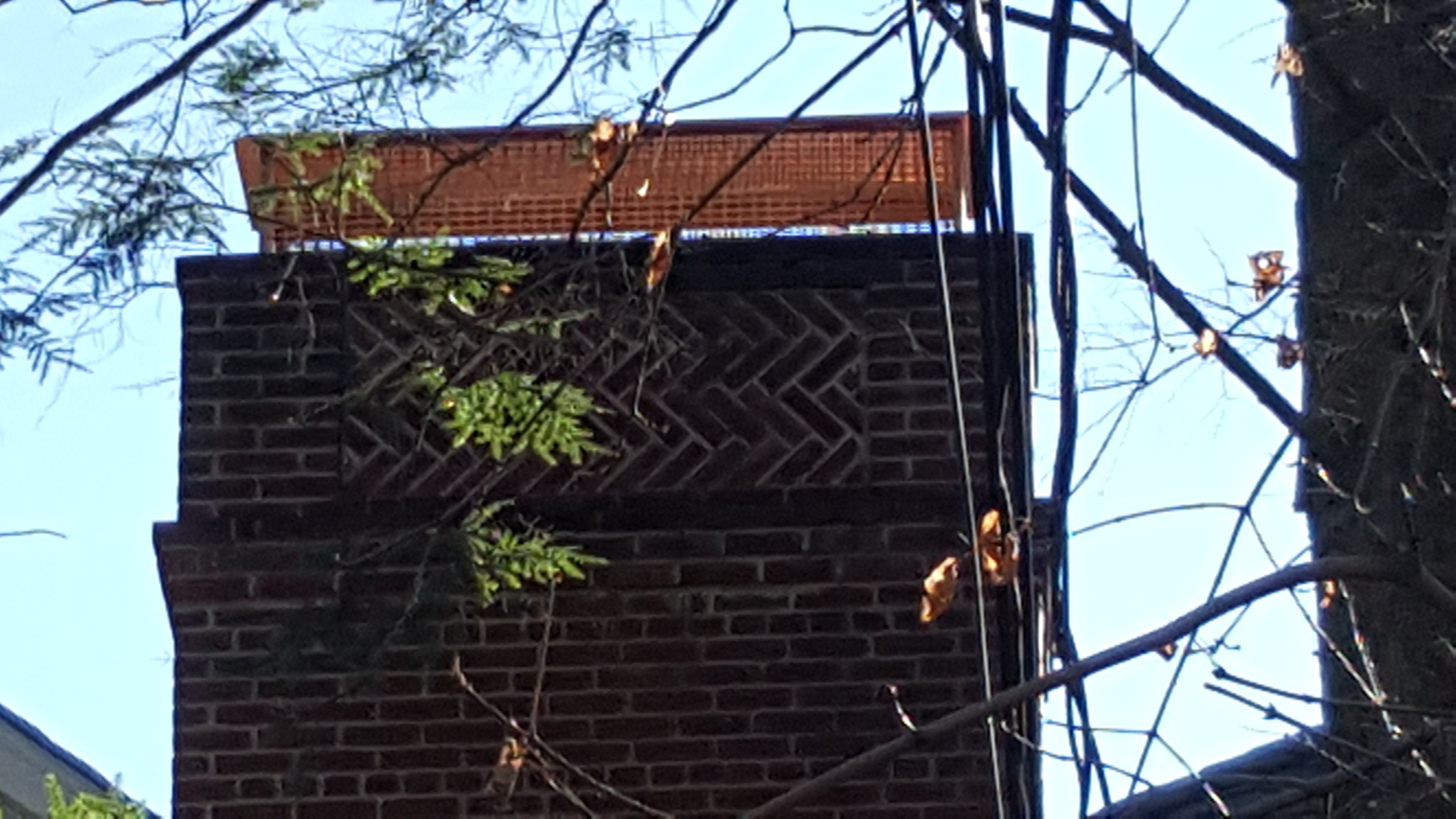 Animal-proof chimney cap protecting home in Massapequa Park, New York
